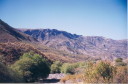 photo415t.jpg