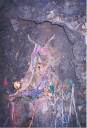 photo433t.jpg